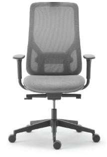 Sokoa Eman Medium-Back